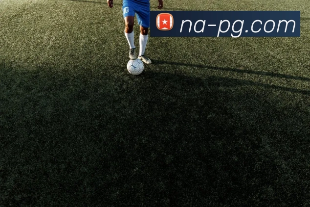 pg电子平台生态图